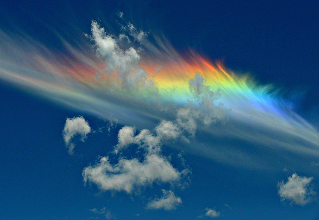 The Breathtaking Beauty of Fire Rainbows: Nature’s Colorful Illusion